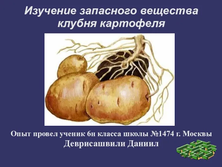 Изучение запасного вещества клубня картофеля Опыт провел ученик 6н класса школы №1474 г. Москвы Деврисашвили Даниил