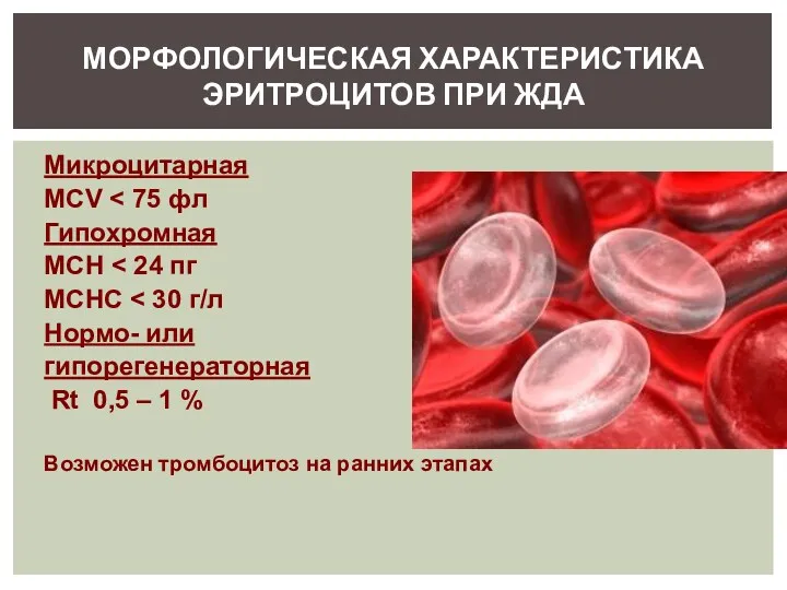 Микроцитарная MCV Гипохромная MCH MCHC Нормо- или гипорегенераторная Rt 0,5