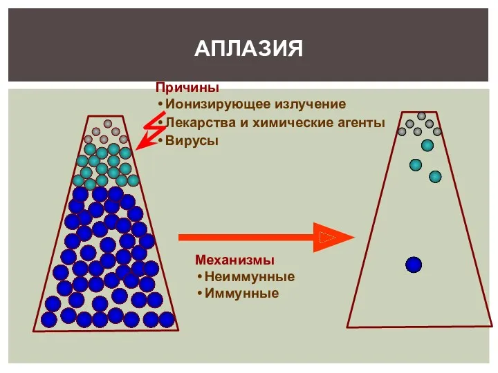 АПЛАЗИЯ Причины Ионизирующее излучение Лекарства и химические агенты Вирусы Механизмы Неиммунные Иммунные