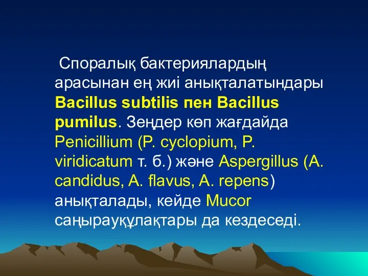 Споралық бактериялардың арасынан ең жиі анықталатындары Bacillus subtilis пен Bacillus