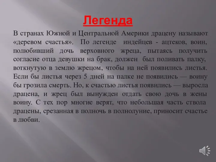 Легенда В странах Южной и Центральной Америки драцену называют «деревом