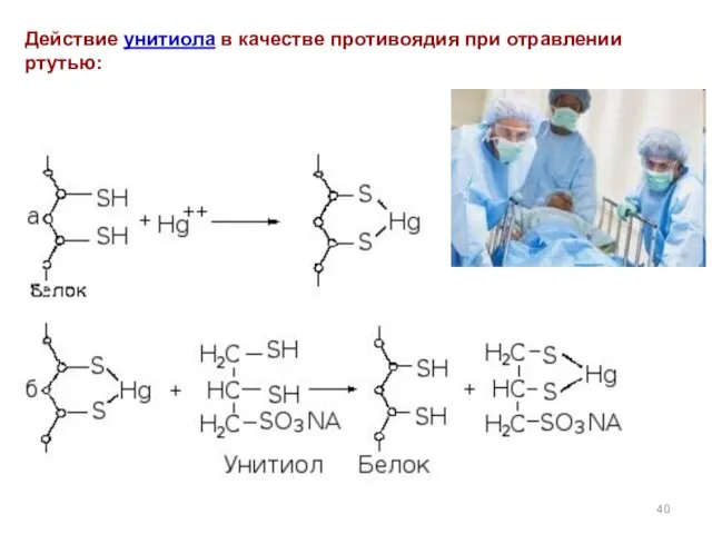 Действие унитиола в качестве противоядия при отравлении ртутью: