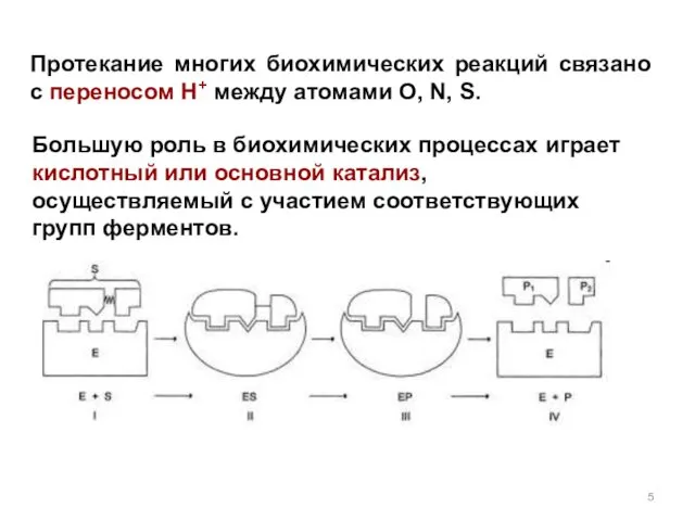 Протекание многих биохимических реакций связано с переносом H+ между атомами