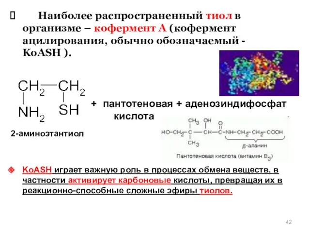 Наиболее распространенный тиол в организме – кофермент А (кофермент ацилирования,