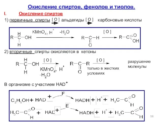 Окисление спиртов, фенолов и тиолов. Окисление спиртов 1) первичные спирты