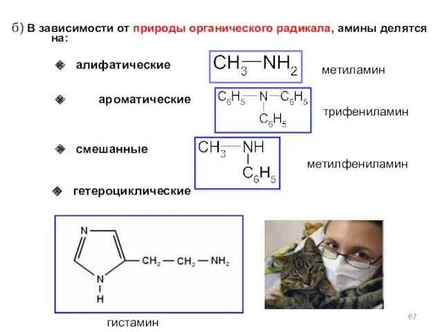 б) В зависимости от природы органического радикала, амины делятся на: