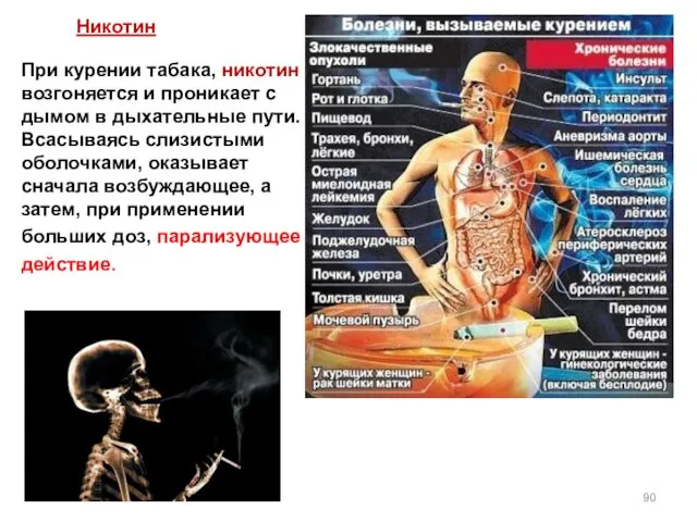 При курении табака, никотин возгоняется и проникает с дымом в