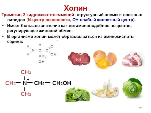 Холин Триметил-2-гидроксиэтиламмоний- структурный элемент сложных липидов (N-центр основности, ОН-слабый кислотный