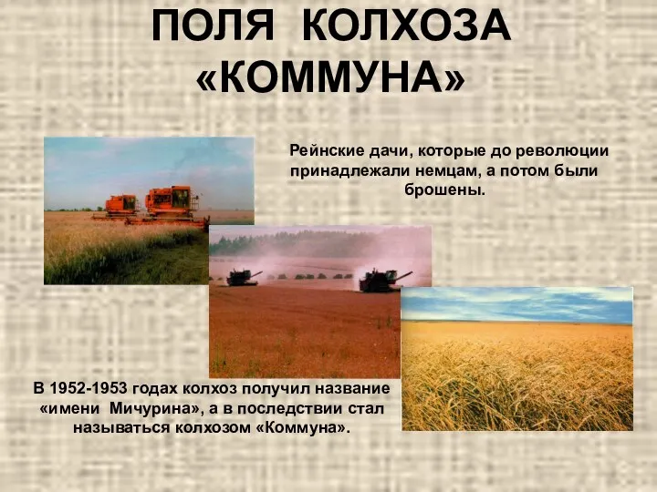 ПОЛЯ КОЛХОЗА «КОММУНА» В 1952-1953 годах колхоз получил название «имени