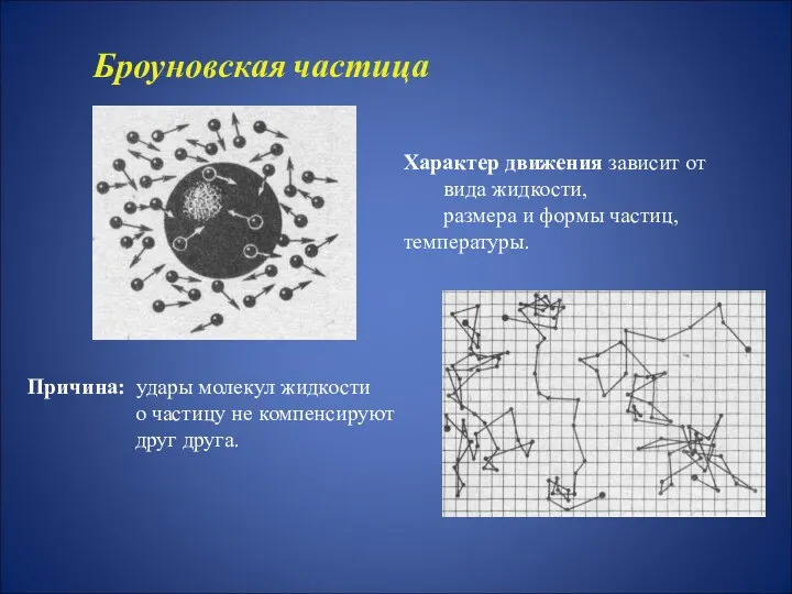 Причина: удары молекул жидкости о частицу не компенсируют друг друга.