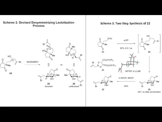 Scheme 2. Devised Desymmetrizing Lactolization Process Scheme 3. Two-Step Synthesis of 22