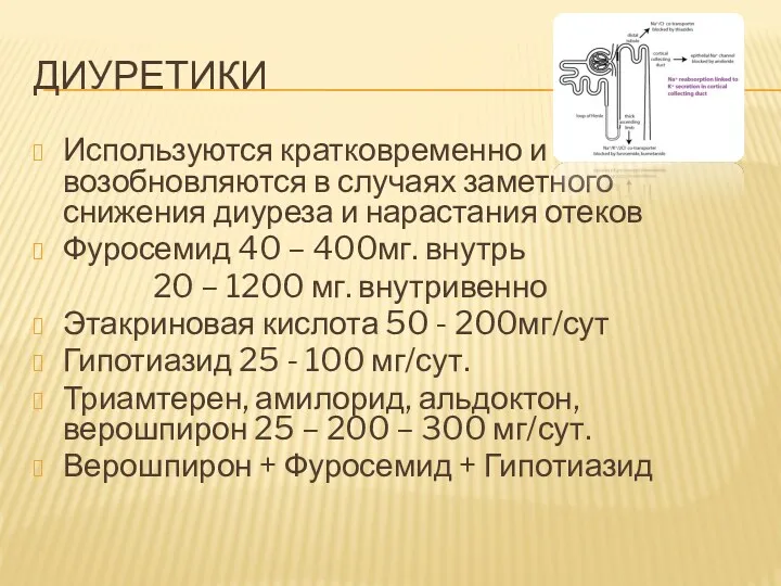 ДИУРЕТИКИ Используются кратковременно и возобновляются в случаях заметного снижения диуреза