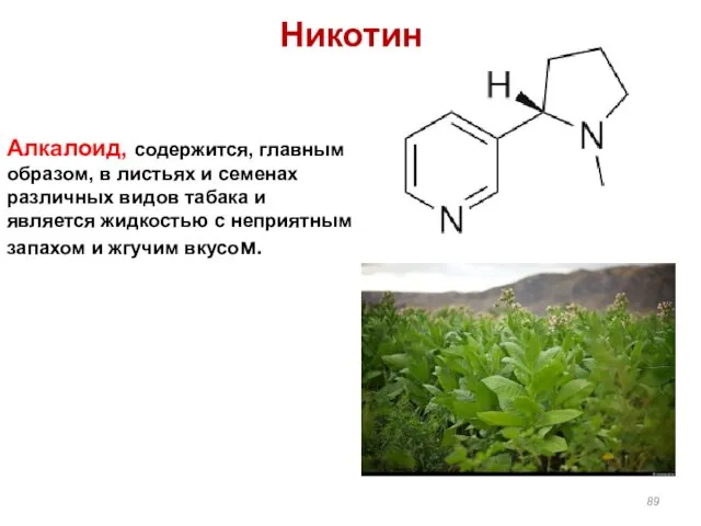 Алкалоид, содержится, главным образом, в листьях и семенах различных видов
