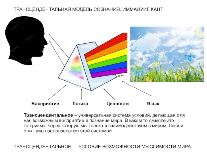 Трансцендентальное – универсальная система условий, делающая для нас возможным восприятие