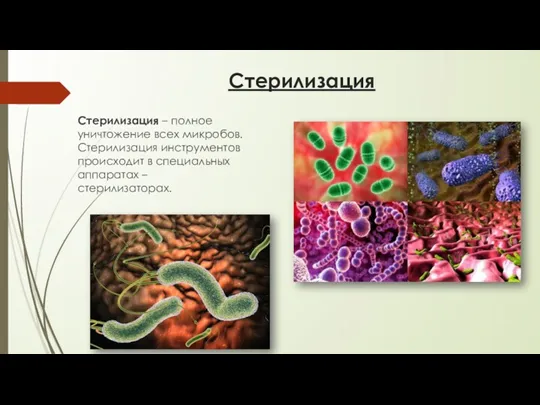 Стерилизация Стерилизация – полное уничтожение всех микробов. Стерилизация инструментов происходит в специальных аппаратах – стерилизаторах.