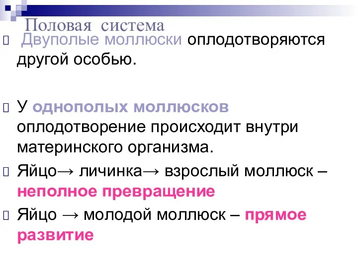 Двуполые моллюски оплодотворяются другой особью. У однополых моллюсков оплодотворение происходит