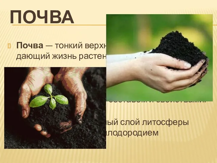 Почва — тонкий верхний слой земной коры, дающий жизнь растениям. Почва - совершенно