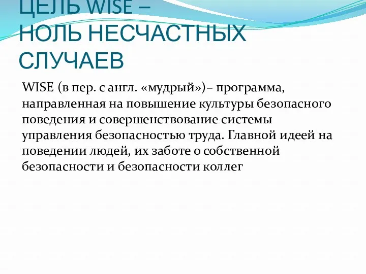 ЦЕЛЬ WISE – НОЛЬ НЕСЧАСТНЫХ СЛУЧАЕВ WISE (в пер. с