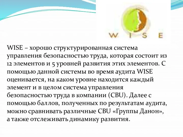 WISE – хорошо структурированная система управления безопасностью труда, которая состоит