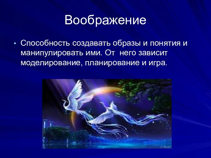 Воображение Способность создавать образы и понятия и манипулировать ими. От него зависит моделирование, планирование и игра.