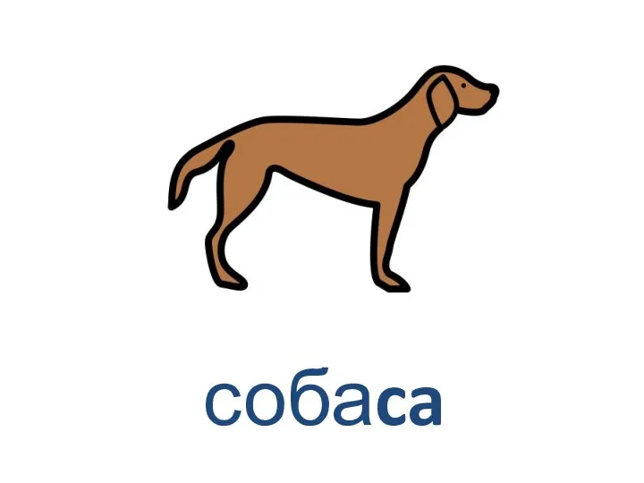 собаca