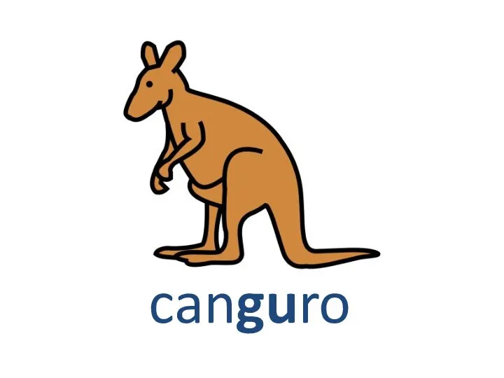 canguro