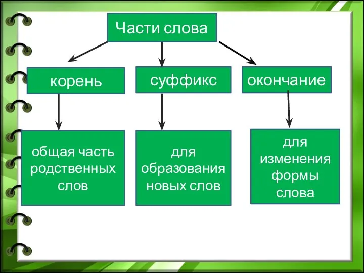 Части слова корень суффикс окончание общая часть родственных слов для