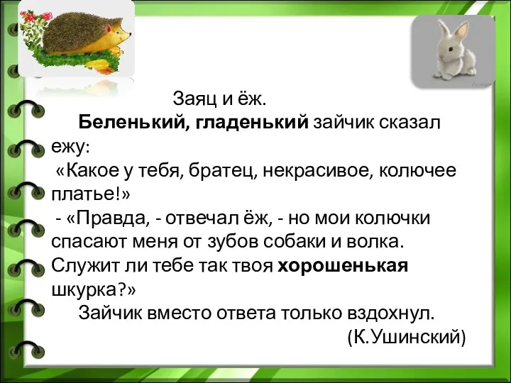 Заяц и ёж. Беленький, гладенький зайчик сказал ежу: «Какое у