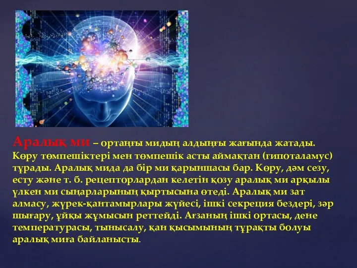 Аралық ми – ортаңғы мидың алдыңғы жағында жатады. Көру төмпешіктері