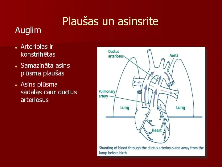 Plaušas un asinsrite Auglim Arteriolas ir konstrihētas Samazināta asins plūsma