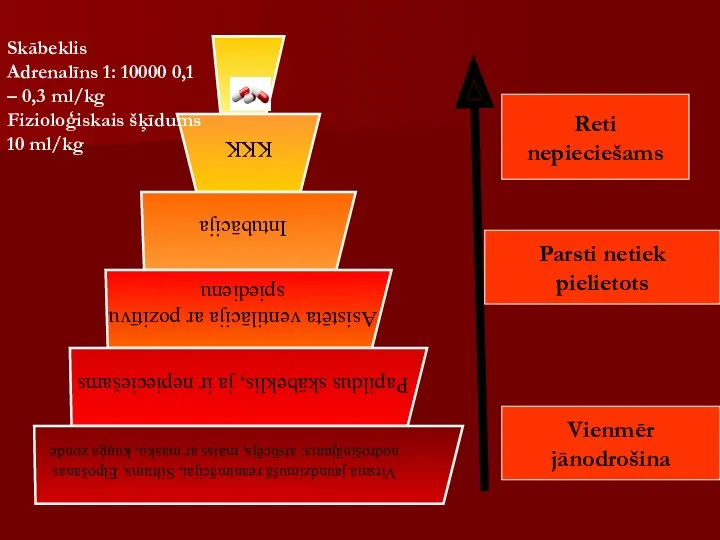 Vienmēr jānodrošina Reti nepieciešams Parsti netiek pielietots Skābeklis Adrenalīns 1: