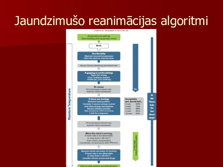 Jaundzimušo reanimācijas algoritmi