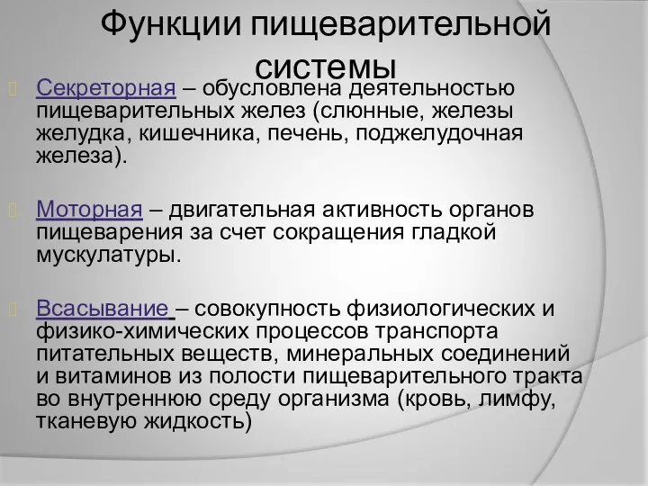 Функции пищеварительной системы Секреторная – обусловлена деятельностью пищеварительных желез (слюнные,