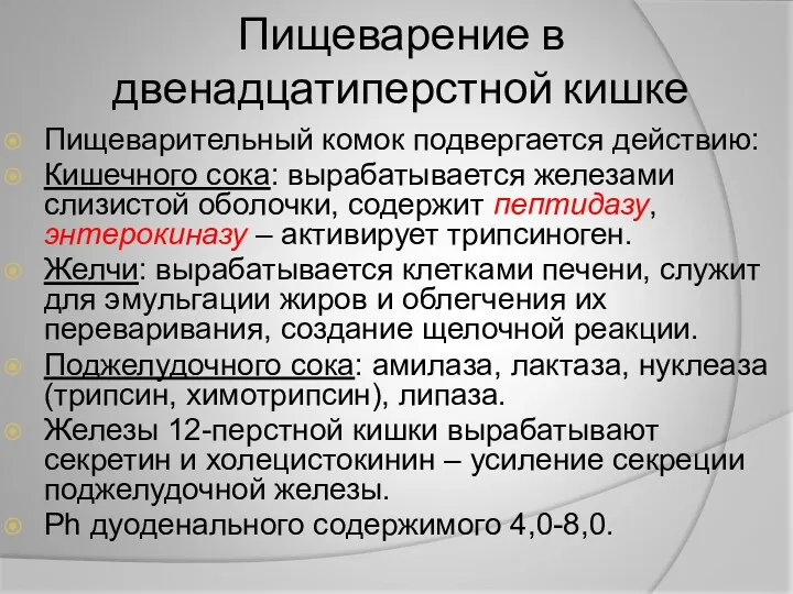 Пищеварение в двенадцатиперстной кишке Пищеварительный комок подвергается действию: Кишечного сока: