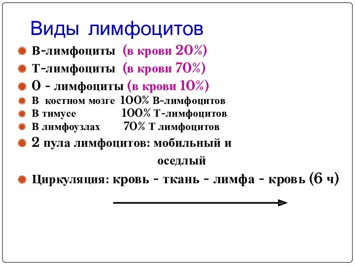 Виды лимфоцитов В-лимфоциты (в крови 20%) Т-лимфоциты (в крови 70%)