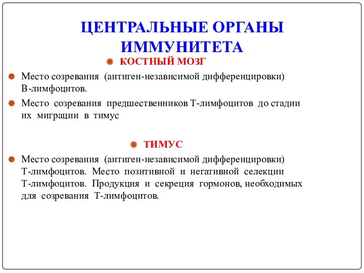 ЦЕНТРАЛЬНЫЕ ОРГАНЫ ИММУНИТЕТА КОСТНЫЙ МОЗГ Место созревания (антиген-независимой дифференцировки) В-лимфоцитов.