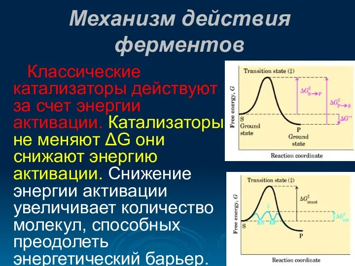 Механизм действия ферментов Классические катализаторы действуют за счет энергии активации.