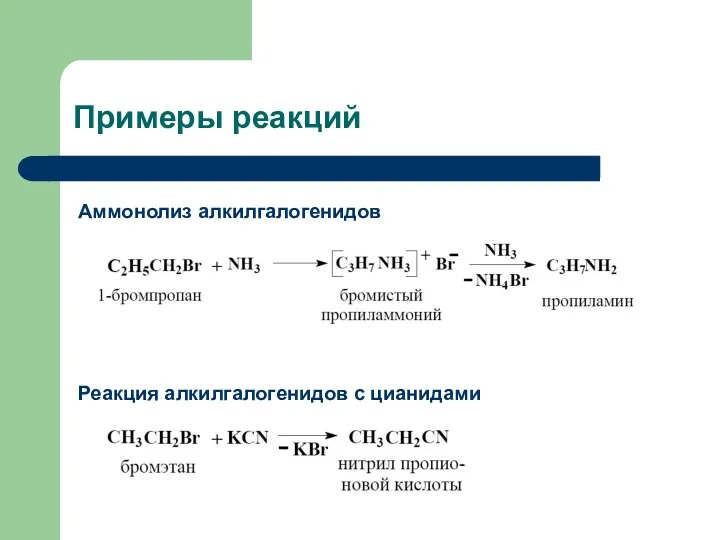 Примеры реакций Аммонолиз алкилгалогенидов Реакция алкилгалогенидов с цианидами