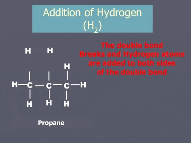 Addition of Hydrogen (H2) H H The double bond Breaks