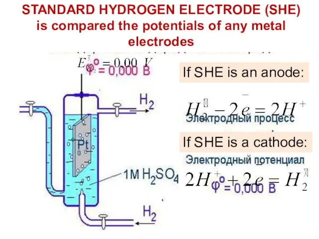 STANDARD HYDROGEN ELECTRODE (SHE) is compared the potentials of any metal electrodes If