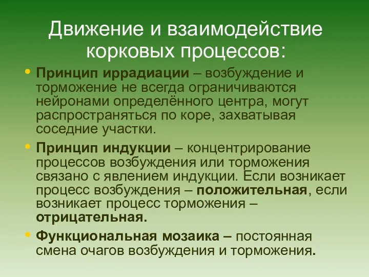 Движение и взаимодействие корковых процессов: Принцип иррадиации – возбуждение и