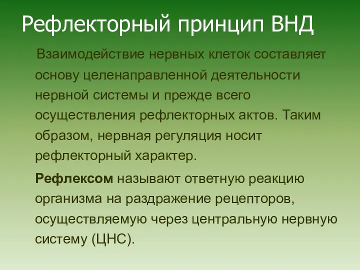 Рефлекторный принцип ВНД Взаимодействие нервных клеток составляет основу целенаправленной деятельности