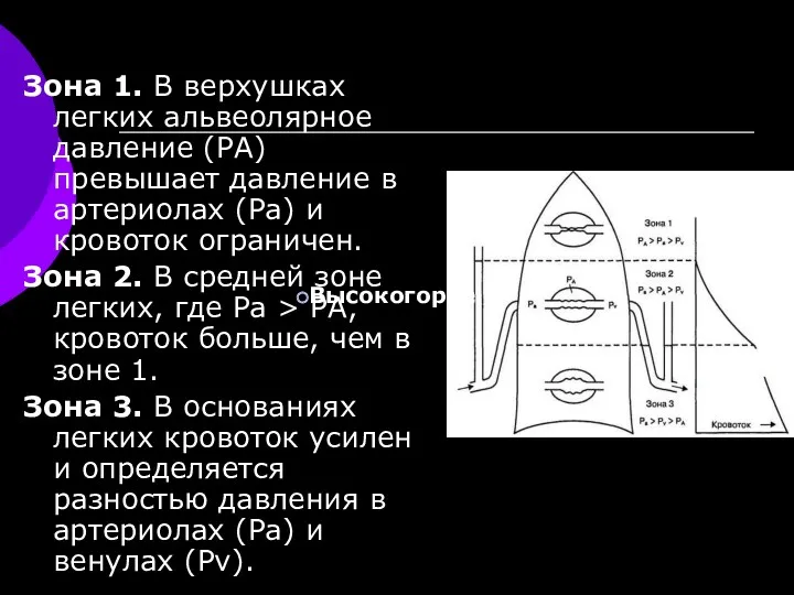 Зона 1. В верхушках легких альвеолярное давление (РА) превышает давление