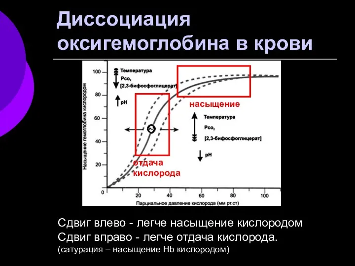 Сдвиг влево - легче насыщение кислородом Сдвиг вправо - легче