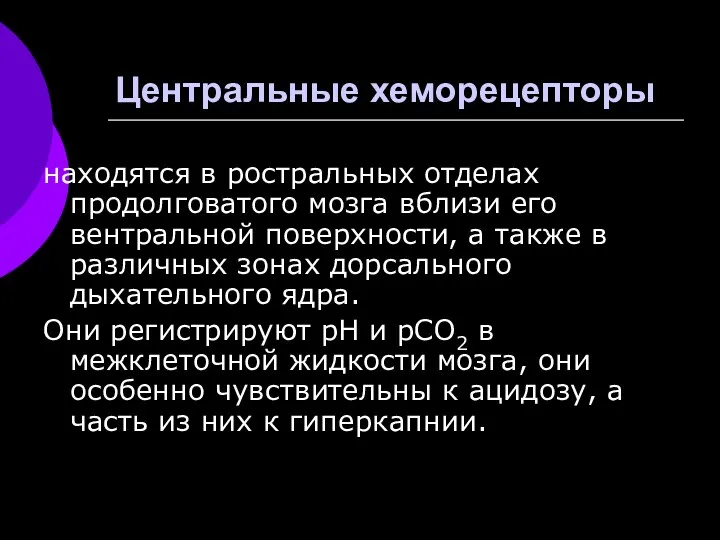 Центральные хеморецепторы находятся в ростральных отделах продолговатого мозга вблизи его