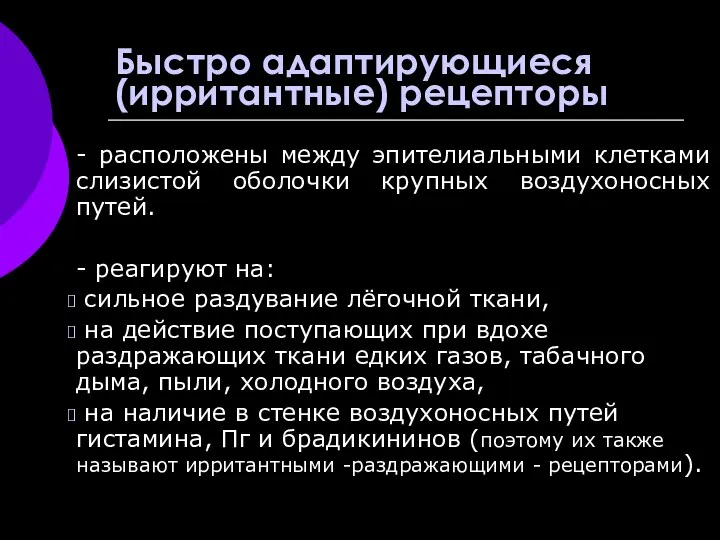 Быстро адаптирующиеся (ирритантные) рецепторы - расположены между эпителиальными клетками слизистой