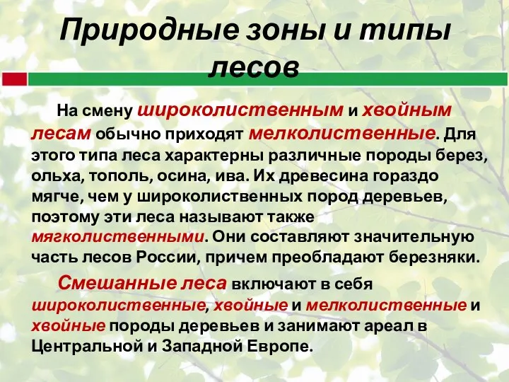 Природные зоны и типы лесов На смену широколиственным и хвойным