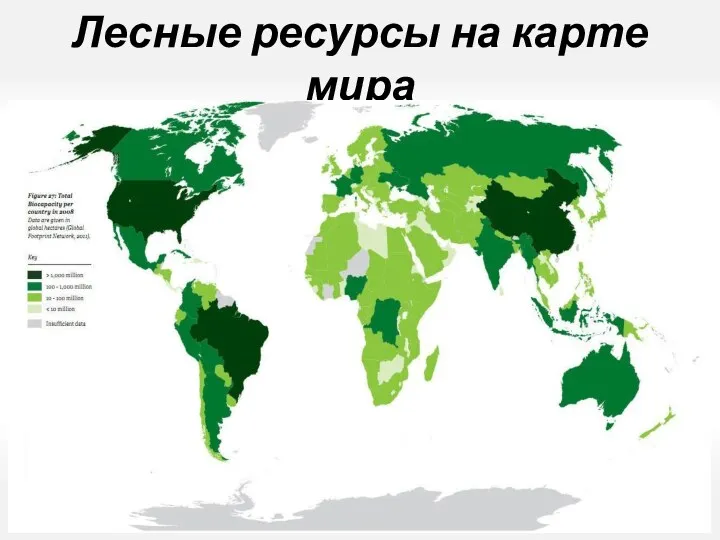Лесные ресурсы на карте мира