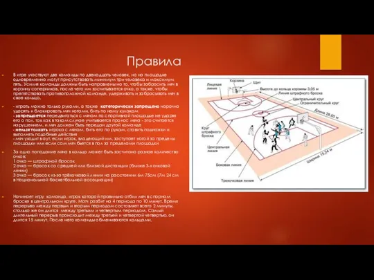 Правила В игре участвуют две команды по двенадцать человек, но