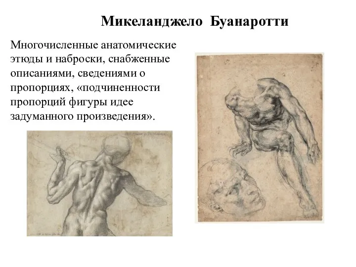 Микеланджело Буанаротти Многочисленные анатомические этюды и наброски, снабженные описаниями, сведениями